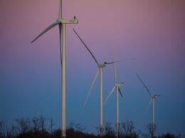 Green power Ukraine wind energy