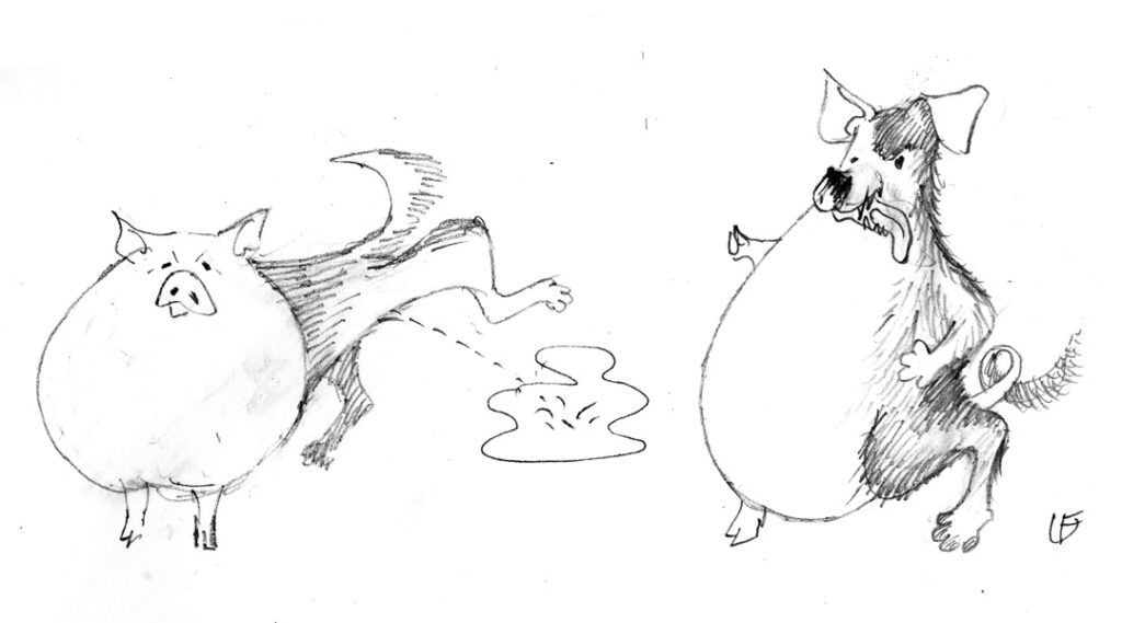 Schweinhund pig dog