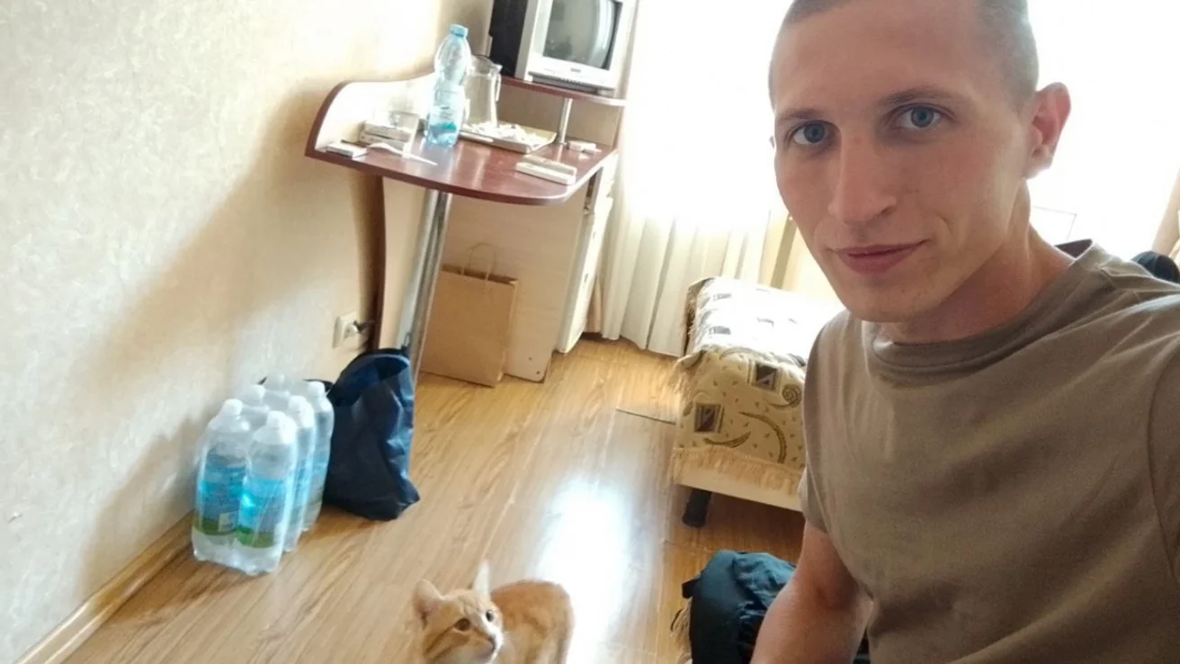 pow with cat