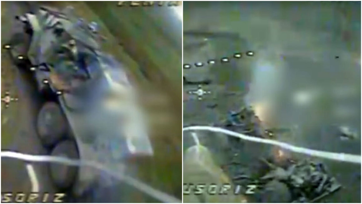 Russian Grad and tank wiped out in Donetsk by Ukraine's Phoenix drone ...