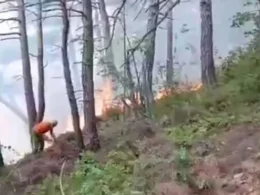 putin winery drone attack