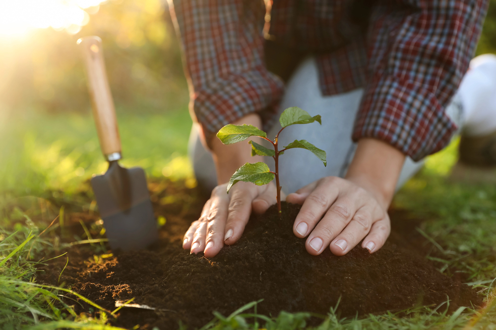 Planting a tree. Photo: Depositphotos.