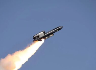 Flamingo missile.