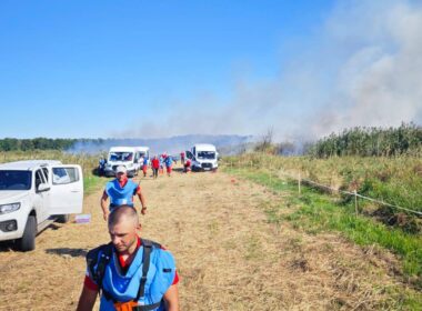 Rescue workers on scene after a Russian missile strike on a humanitarian demining mission in Chernihiv Oblast, Ukraine.