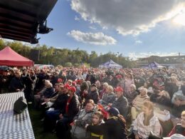 Czechia parliamentary vote Babis