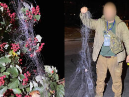 Fiber-optic cable unspooled from a Russian FPV drone.