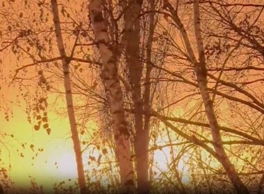 russia's saratov refinery among key targets hit drones last night ukrainian army's general staff says · post explosion glow seen through trees after overnight drone attack 28 2025 capture forces