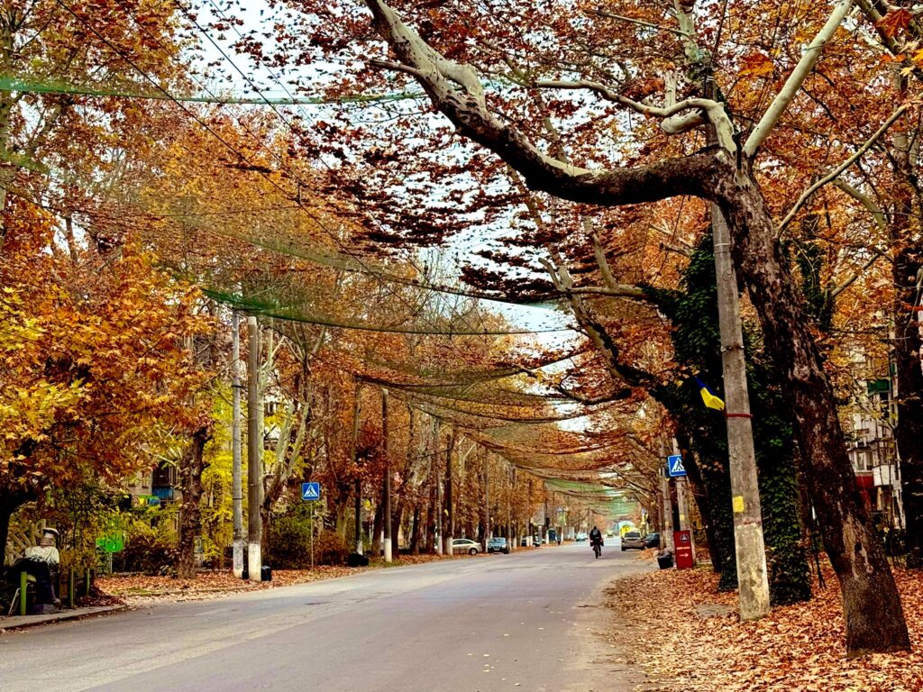 Kherson anti-drone nets human safari