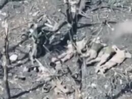Russian soldier pointing a gun at captured Ukrainian soldiers lying on the ground, face-down. Near Kotlyne, Donetsk Oblast, 19 November, 2025. Photo: Donetsk regional prosecutor’s office