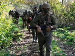 Wagner network EU elections