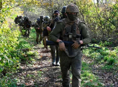 Wagner network EU elections