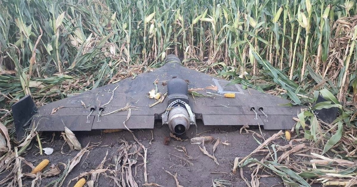 ukraine recovers russia's undamaged geran-3 jet kamikaze drone carrying camera live-link equipment (video) · post russian jet-powered lying cornfield after being recovered intact 16 2025 реактивний дрон-камікадзе герань-3 вересня року