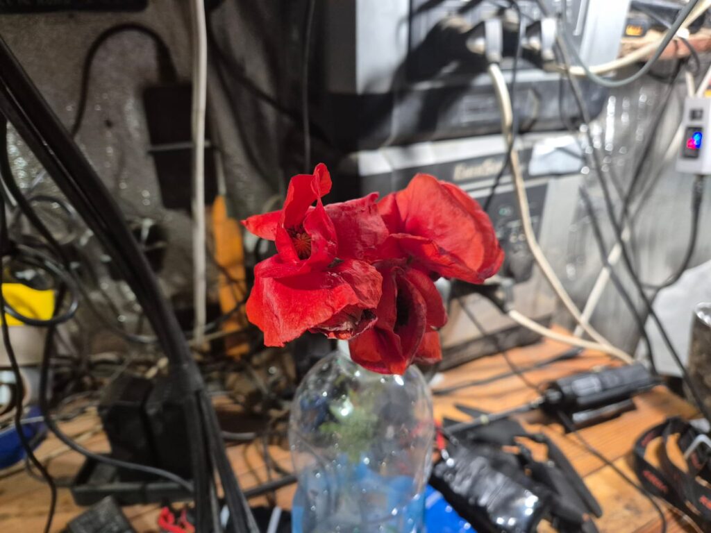 Ukrainian soldiers KIA in memoriam