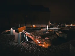 sculptures by Ukrainian artist in denmark