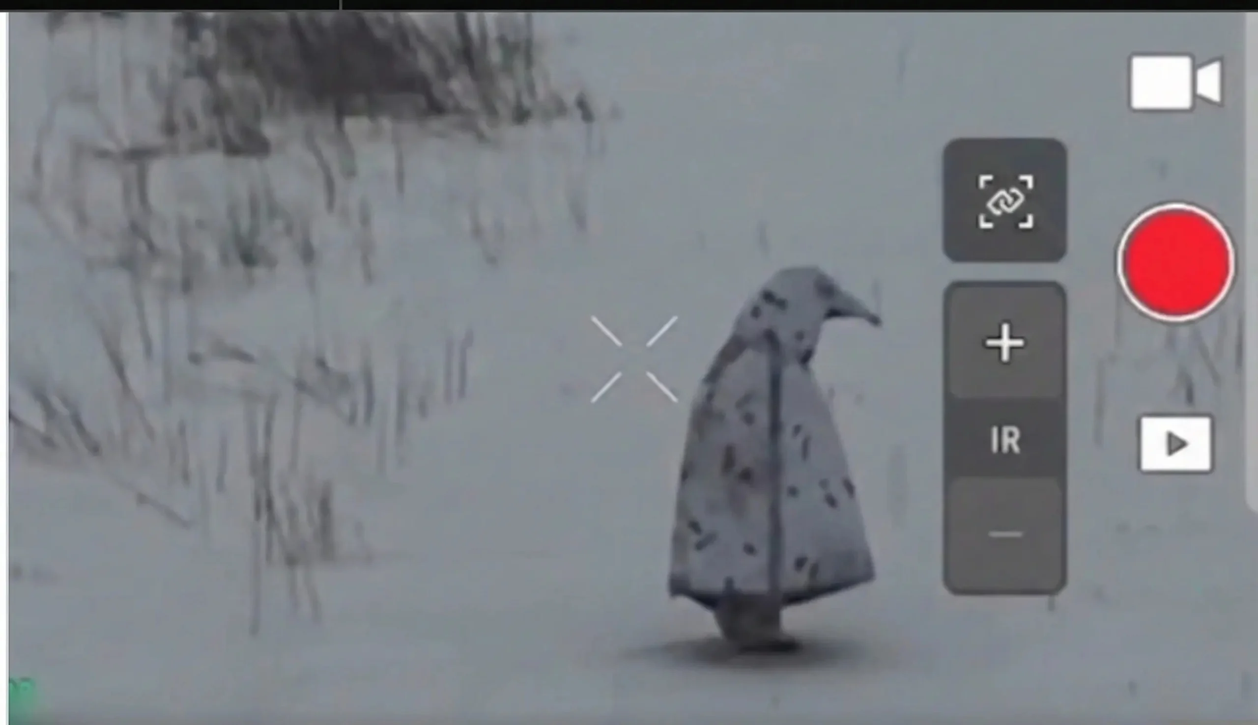 A Russian soldier dressed as a penguin