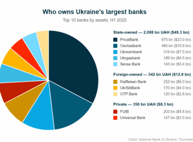 ownership of top 10 largest banks in ukraine - state, foreign, and private