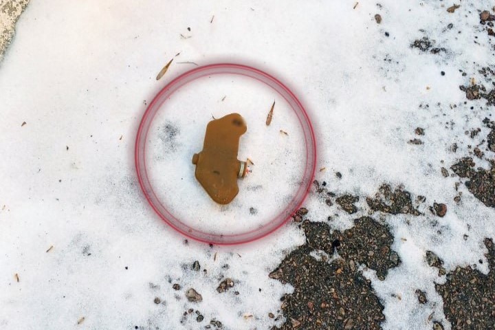 butterfly mine petal mine A PFM-1S anti-personnel “butterfly” mine found on the grounds of a medical facility in Kherson. Photo: Kherson Oblast Police