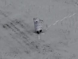 A Russian soldier wearing 'penguin' camouflage.