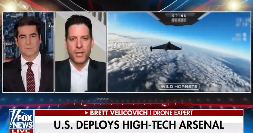 Wild Hornets drone USA interceptors Iran