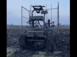 Screenshot Temerland