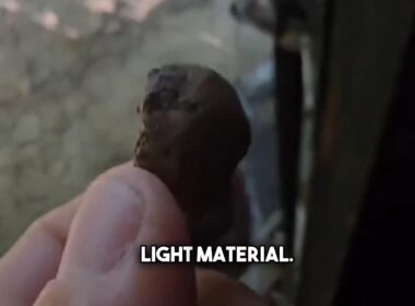 The clay 'protecting' a turtle tank.