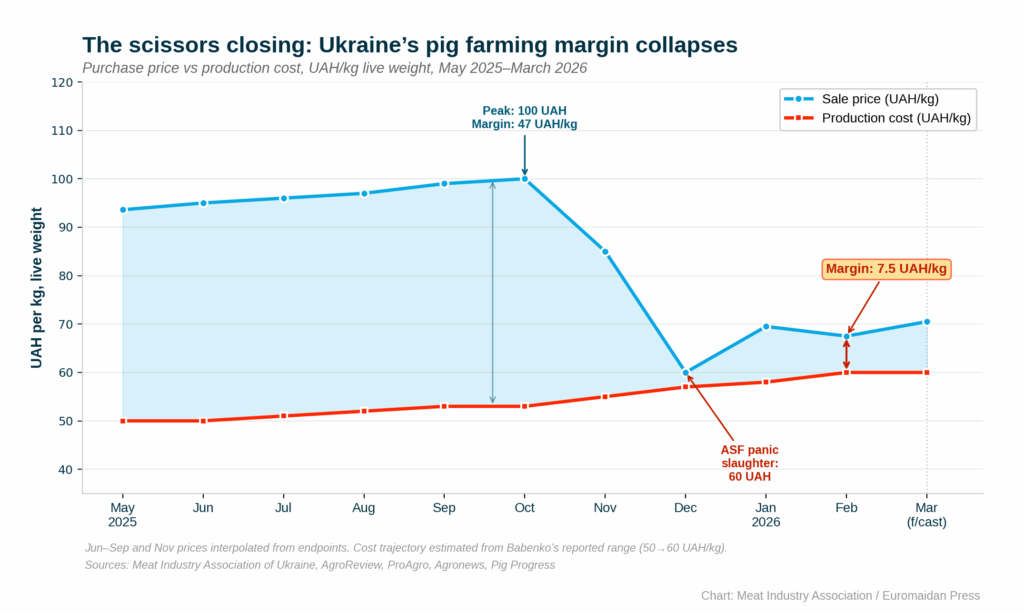 ukrainian pig farmers earn less and less as the price margin shrinks
