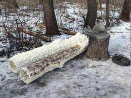 A Russian-made fake tree used to conceal a communication antenna from Ukrainian drone surveillance.