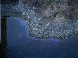 russia hit ukraine's hydropower plant eight days ago — poisoned river flows moldova · post oil slick surface dniester following contamination caused russia's strike novodnistrovsk ukraine 2026 дністер плями ©