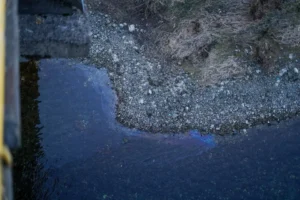 russia hit ukraine's hydropower plant eight days ago — poisoned river flows moldova · post oil slick surface dniester following contamination caused russia's strike novodnistrovsk ukraine 2026 дністер плями ©