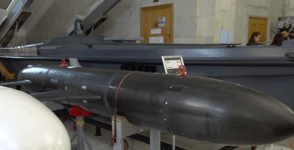 The Areion missile-drone. Source: Novyny Live screenshot