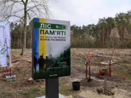 Forest of Remembrance