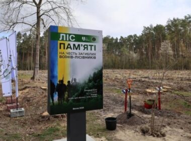 Forest of Remembrance