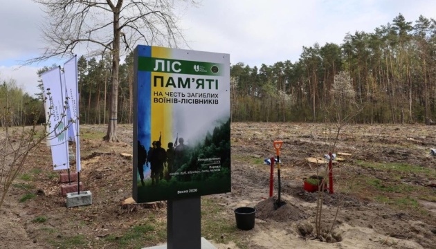 Forest of Remembrance