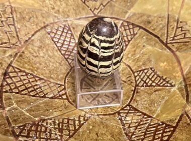 A unique 12th-century Easter egg in Kyiv. The National Reserve Sophia of Kyiv