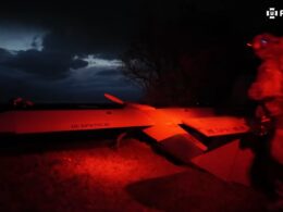 A Zozulia on the ground.