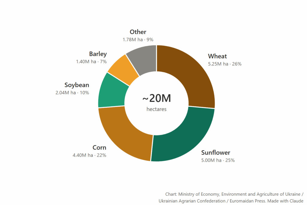 wheat, sunflower and corn are the main crops being sown in 2026