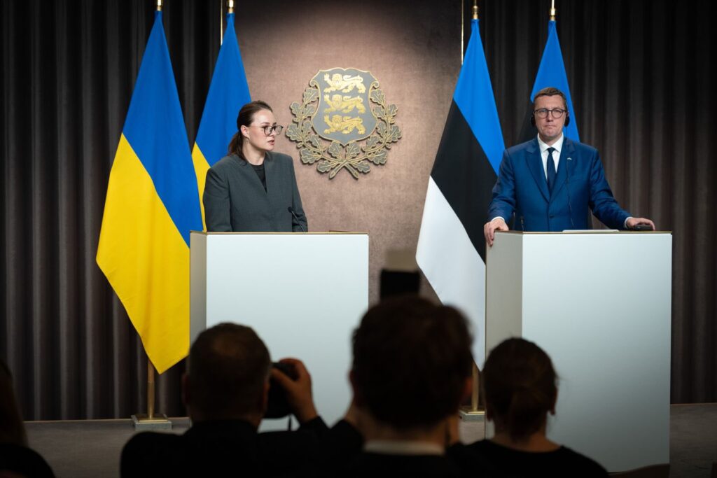 Svyrydenko and Michal expand drone cooperation after weeks of stray UAVs over the Baltic