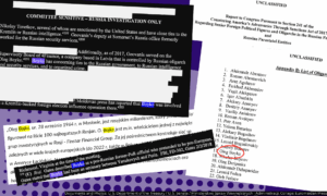 documents referring to Oleg Boyko