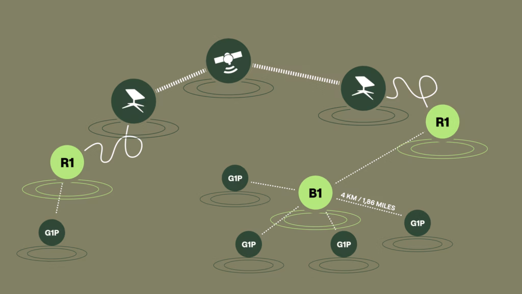 Himera network