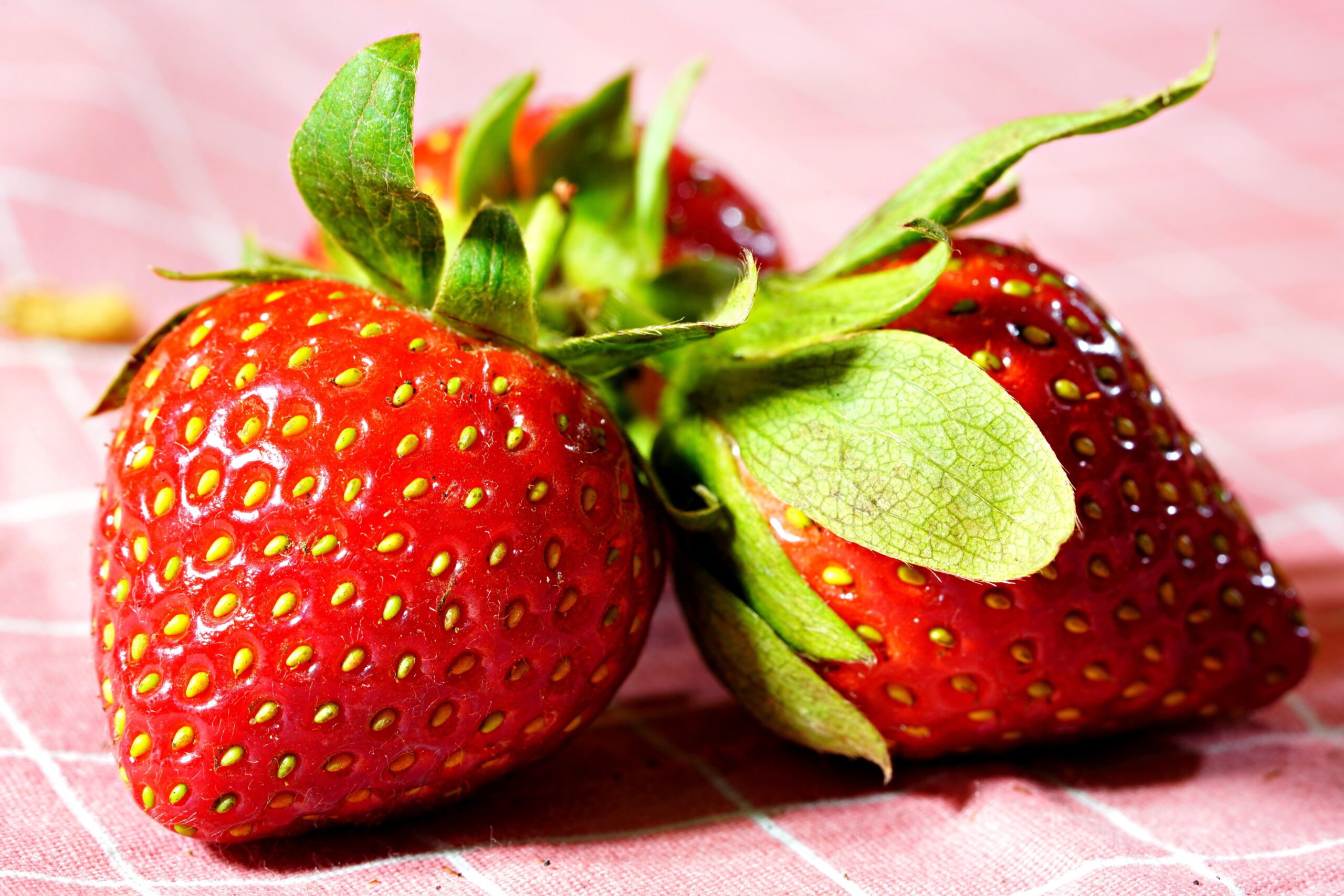 strawberry price falls as harvest surge collides with imports