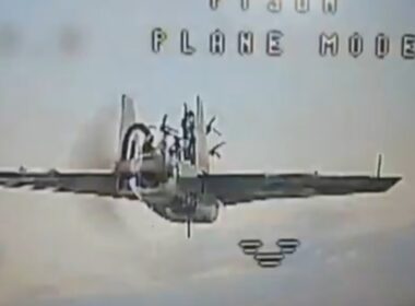 A Gerbara in mid-air.