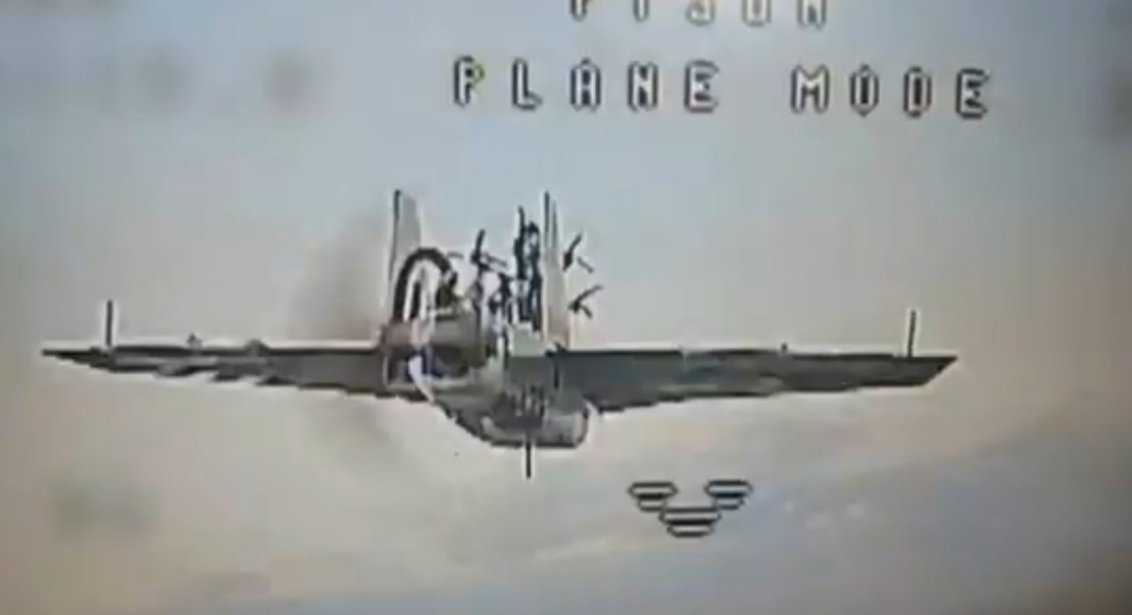 A Gerbara in mid-air.