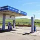 a cow grazes by an idle sayanneft gas station in russia amid nationwide fuel crisis