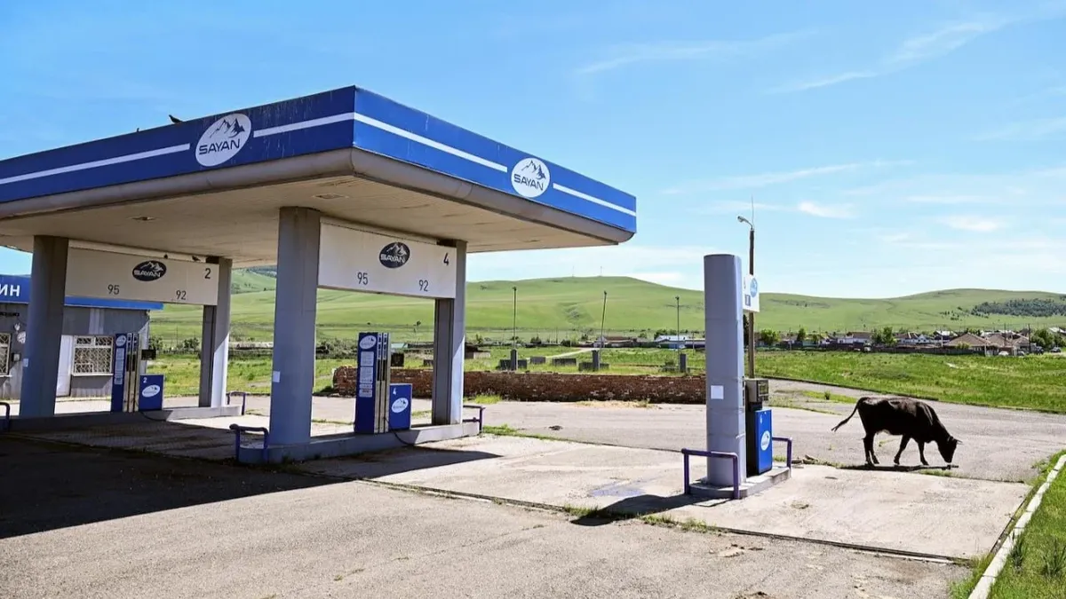 a cow grazes by an idle sayanneft gas station in russia amid nationwide fuel crisis