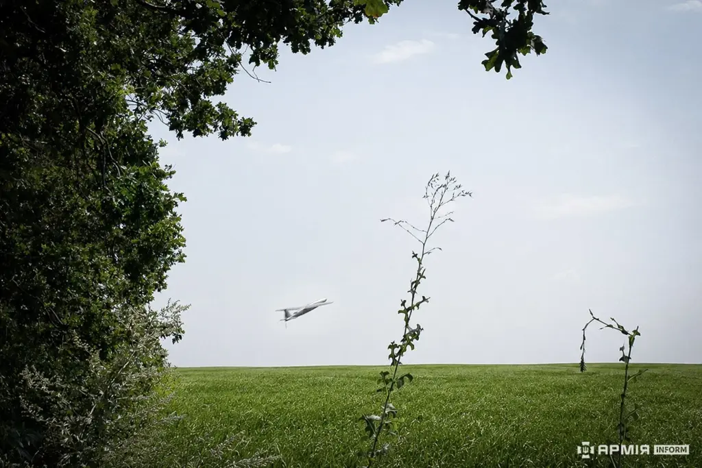 “Arti” and “Schultz
