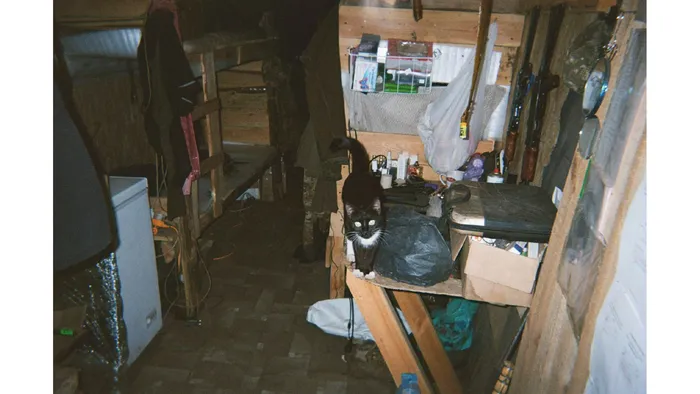 A cat sits inside a Ukrainian military dugout, 2025. Photo: project participant Oleksii “Lapa”
