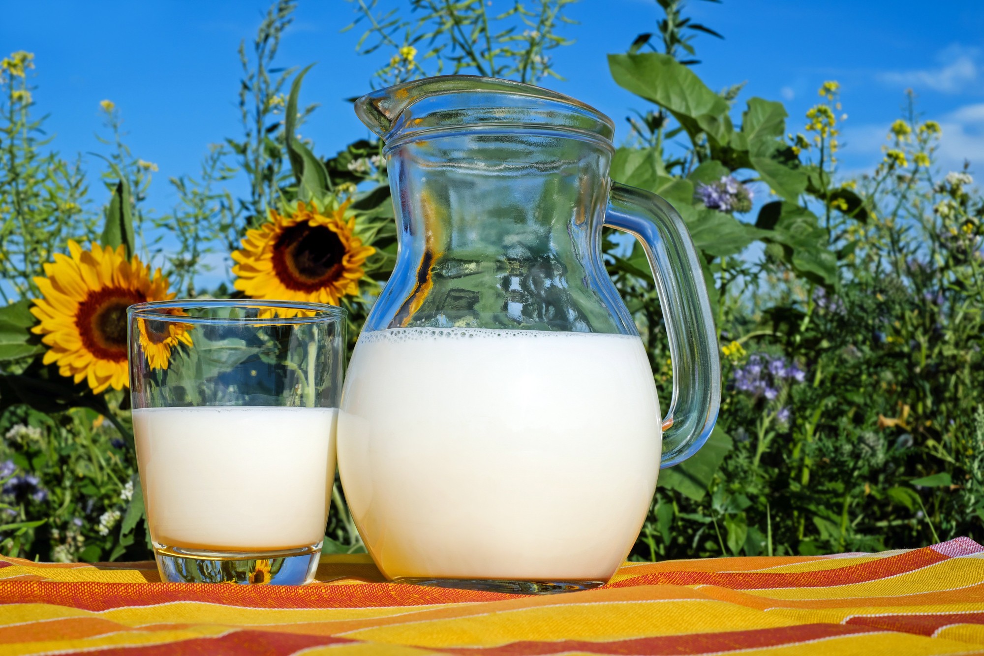 milk and sunflowers