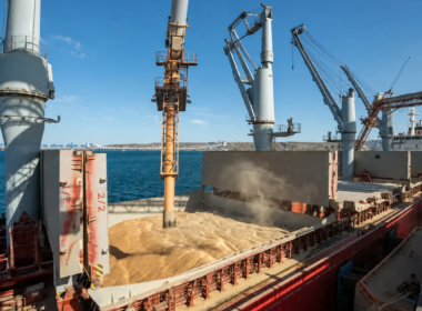 grain loaded onto a ship