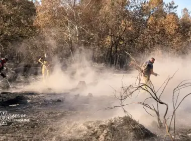 Ukrainian firefighters fight a wildfire in the Gironde department, France. 2 August 2026. Photo: SES