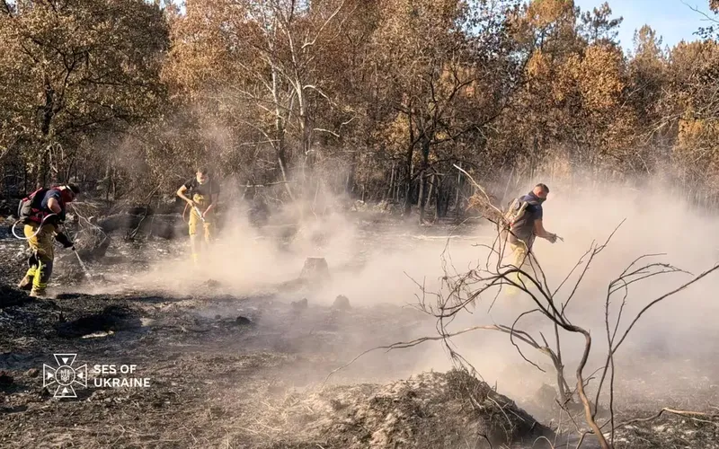 Ukrainian firefighters fight a wildfire in the Gironde department, France. 2 August 2026. Photo: SES